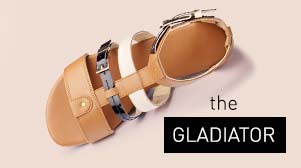 The Gladiator