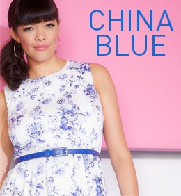 Shop the China Blue Trend >