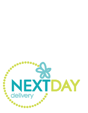 New Next Day Delivery