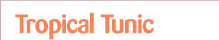 Tropical Tunic