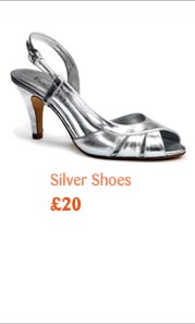 Silver Shoes