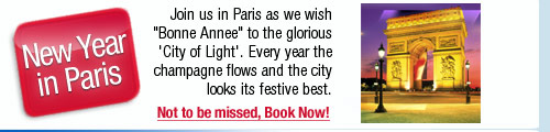 New Year in Paris