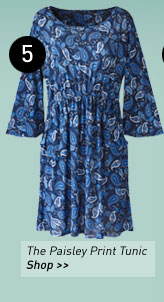 the paisley print dress