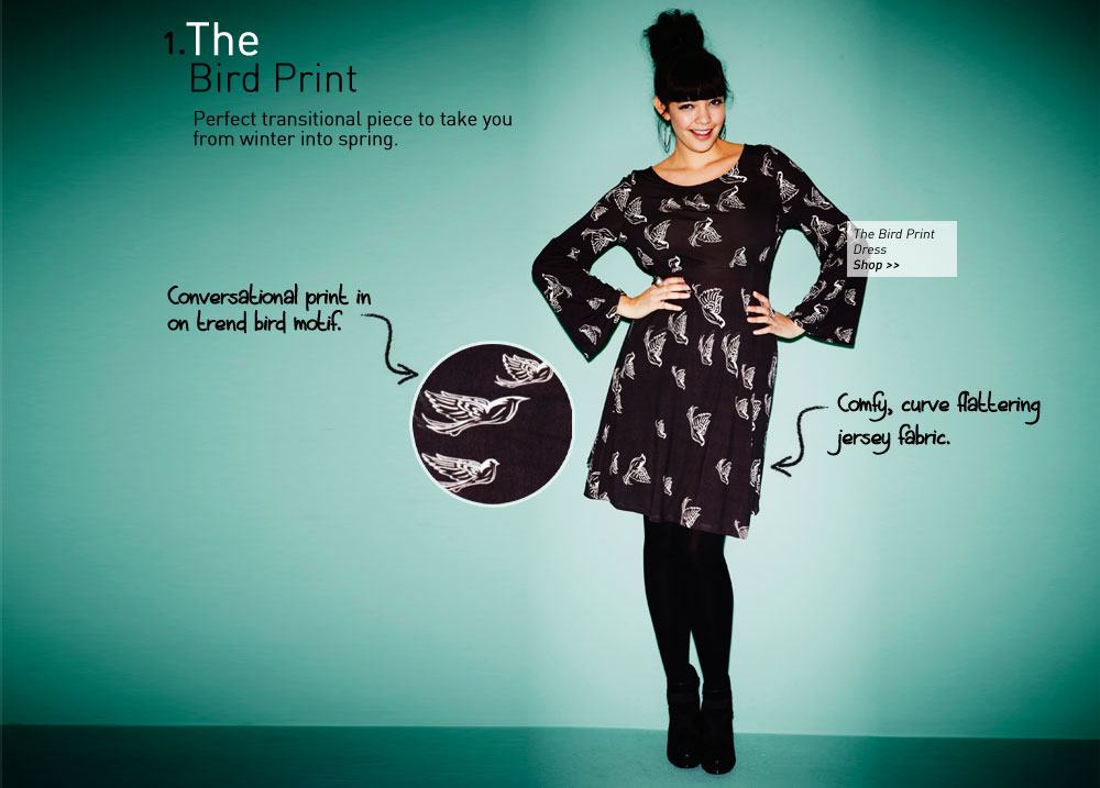 the bird print dress