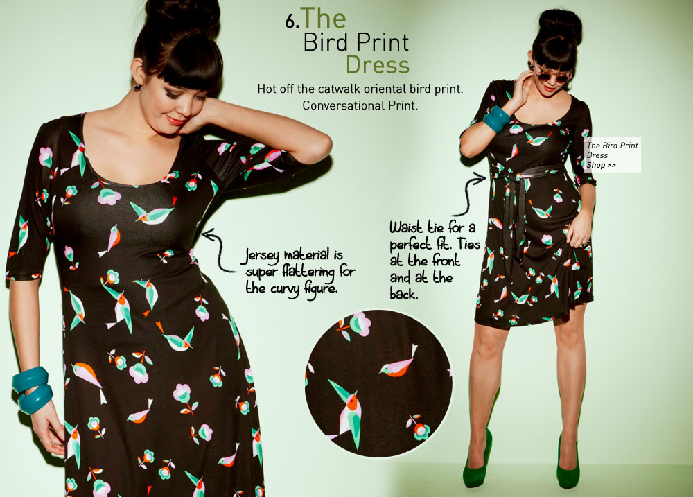 the Bird Print Dress