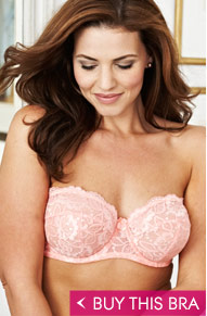 Strapless Bra
