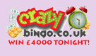 Crazy Bingo