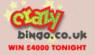 Crazy Bingo