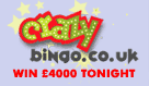 Crazy Bingo