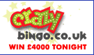 Crazy Bingo