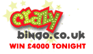 Crazy Bingo