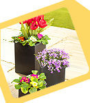 Garden Offers!