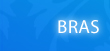 Bras