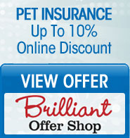 Insure your pet. Up to 10% online discount