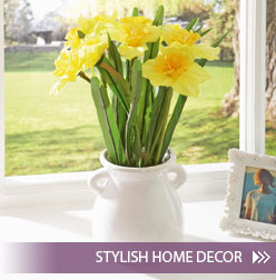 Stylish Home decor >