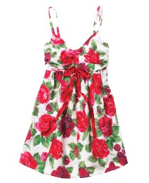 Joe Browns Floral Plus Size Dress