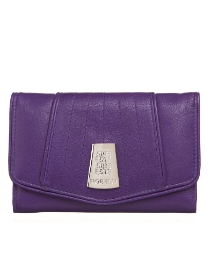 Fiorelli Astaire Leather Purse