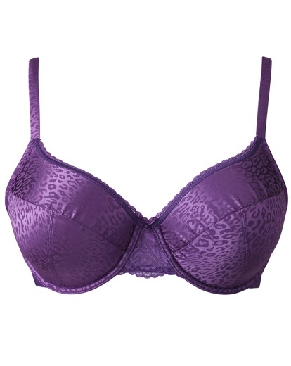 Triumph Balcony Bra