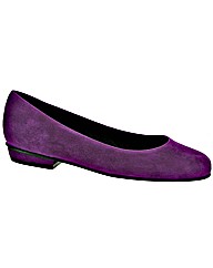 Riva Marmoset Suede Ladies Court