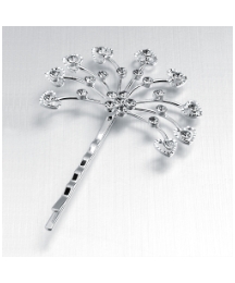 Silver Coloured Fan Grip