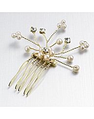 Gold Coloured Side comb