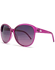 Lacoste Cateye Sunglasses Lacoste Cateye Sunglasses