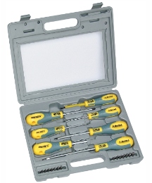 21 Piece Screwdriver and Bit Set in Case