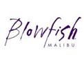 Blowfish