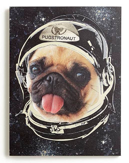 Space Pug Wall Art