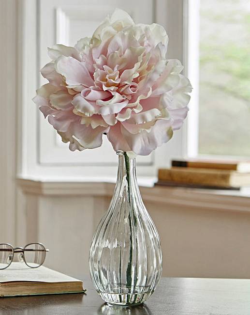 Peony in Glass Vase | House of Bath