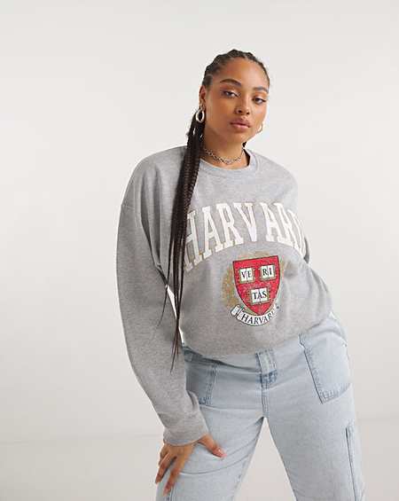 Grey harvard outlet sweatshirt