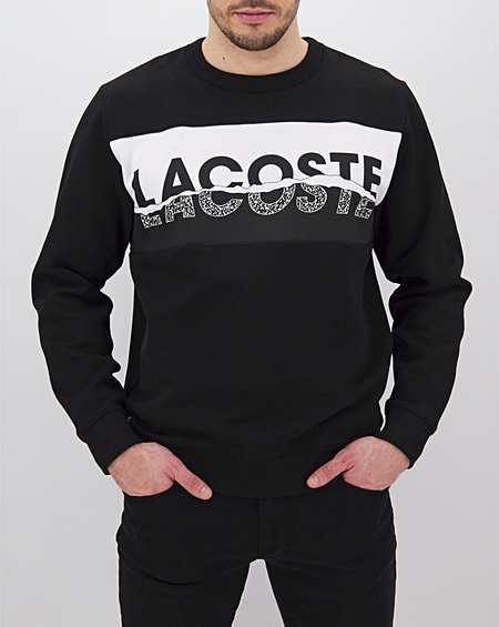 jd lacoste hoodie