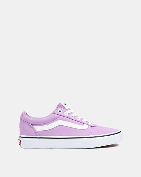 Vans Ward Trainers Marisota