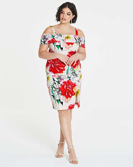 coast emele jacquard dress