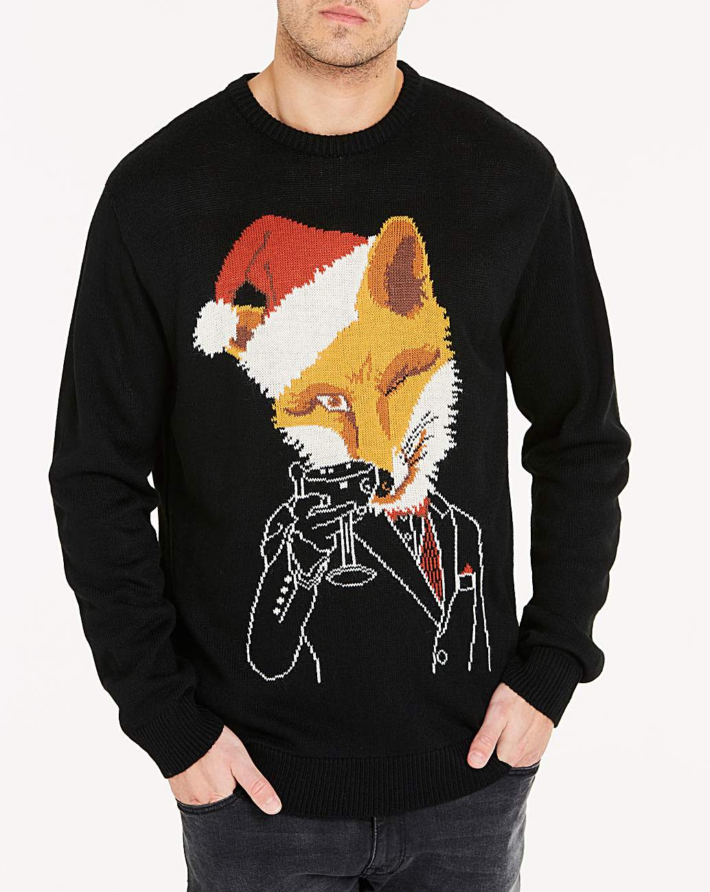 joe browns fox cardigan
