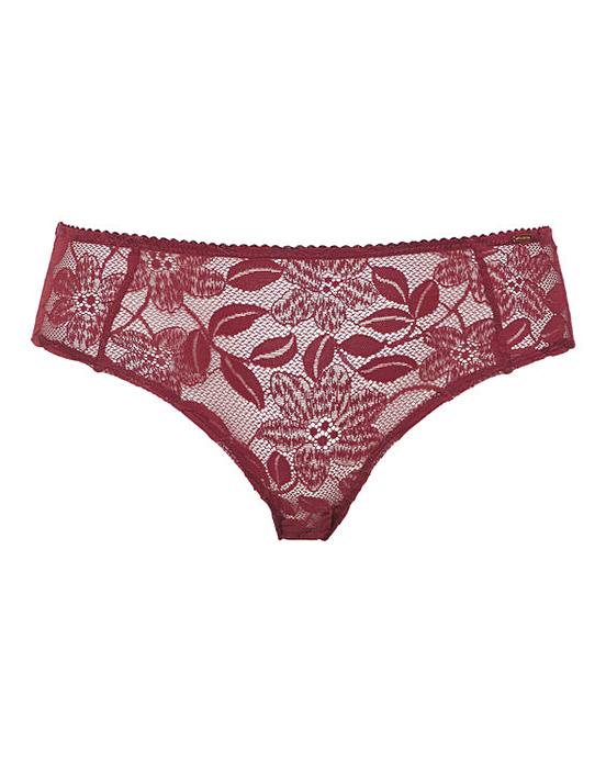 Dorina Daphne Classic Hipster Brief | Oxendales
