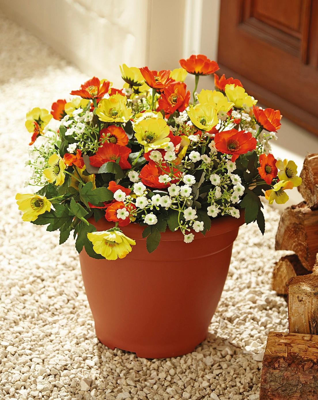 Everlasting Poppy Planter House of Bath