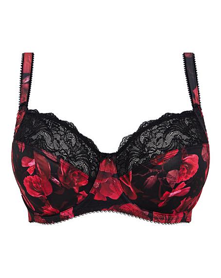 Fantasie Lucia Full Cup Wired Bra | Fashion World