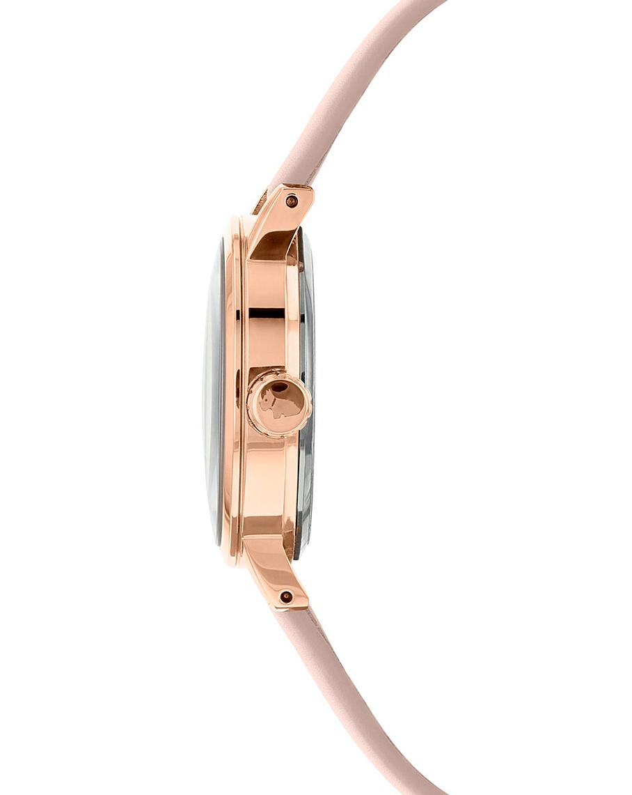 Radley Ladies Dog Cobweb Strap Watch | Oxendales