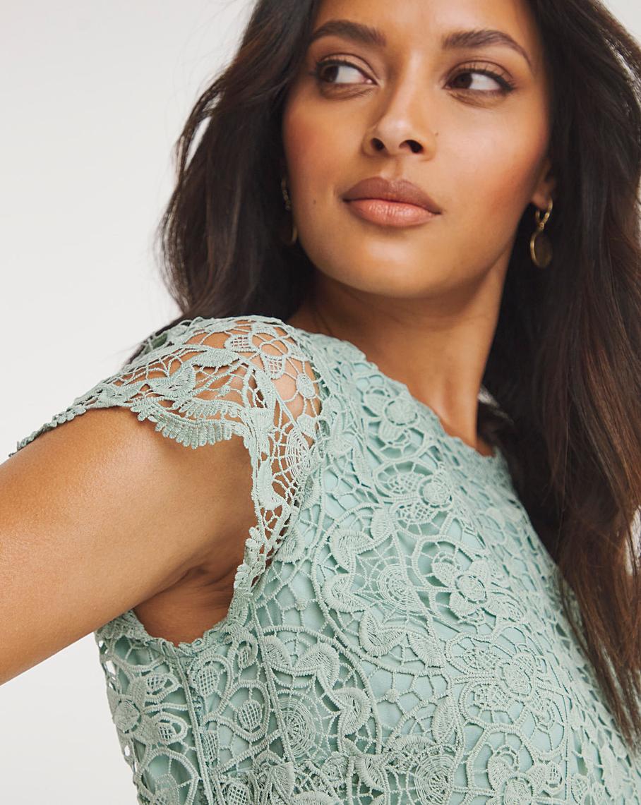 Joanna Hope Lace Bodice Pleated Dress J D Williams