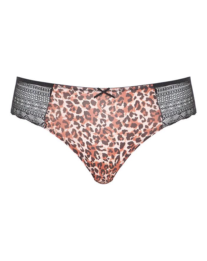 Dorina Zena Classic Hipster Brief Fashion World