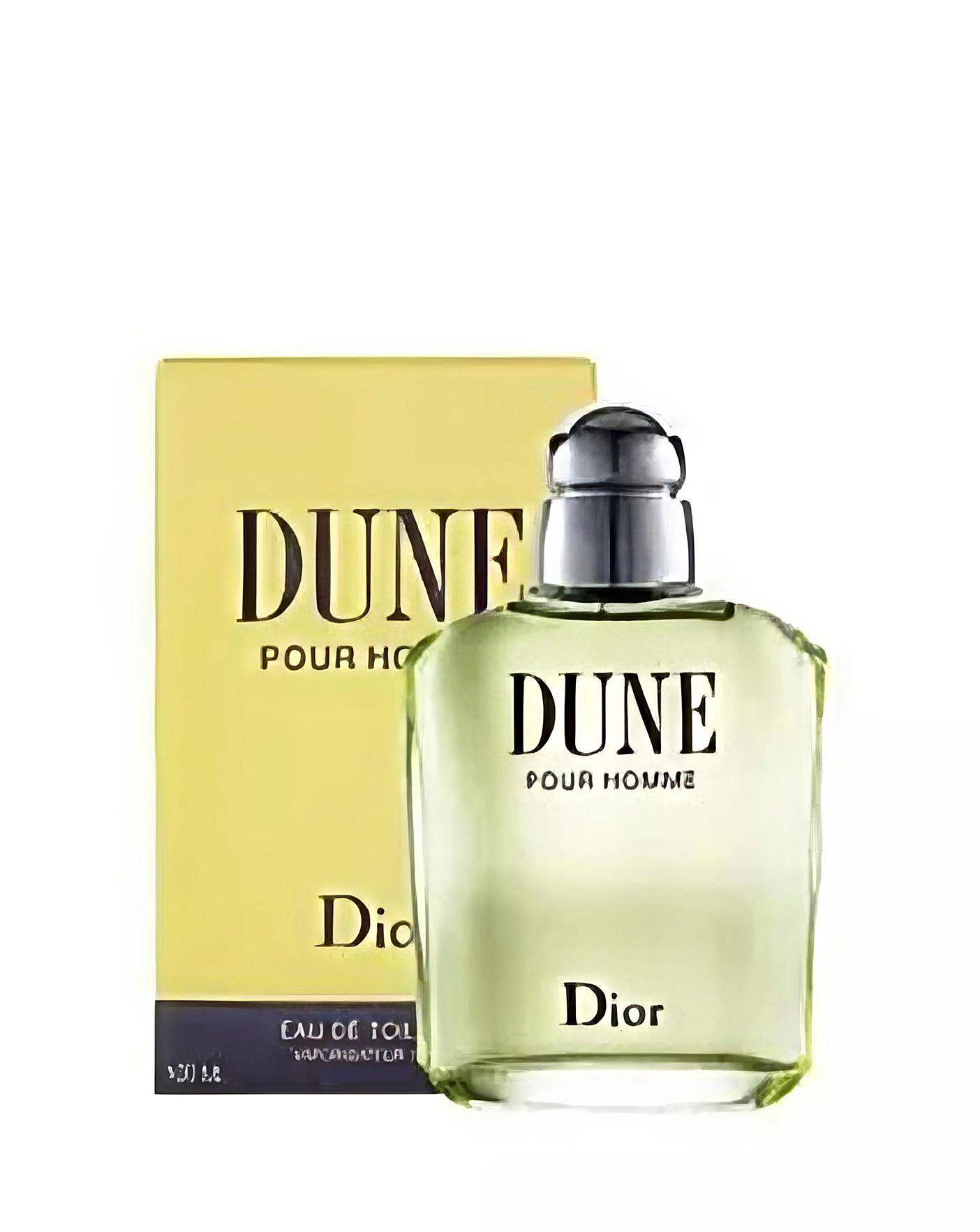 Dior Dune EDT 100ml | Oxendales