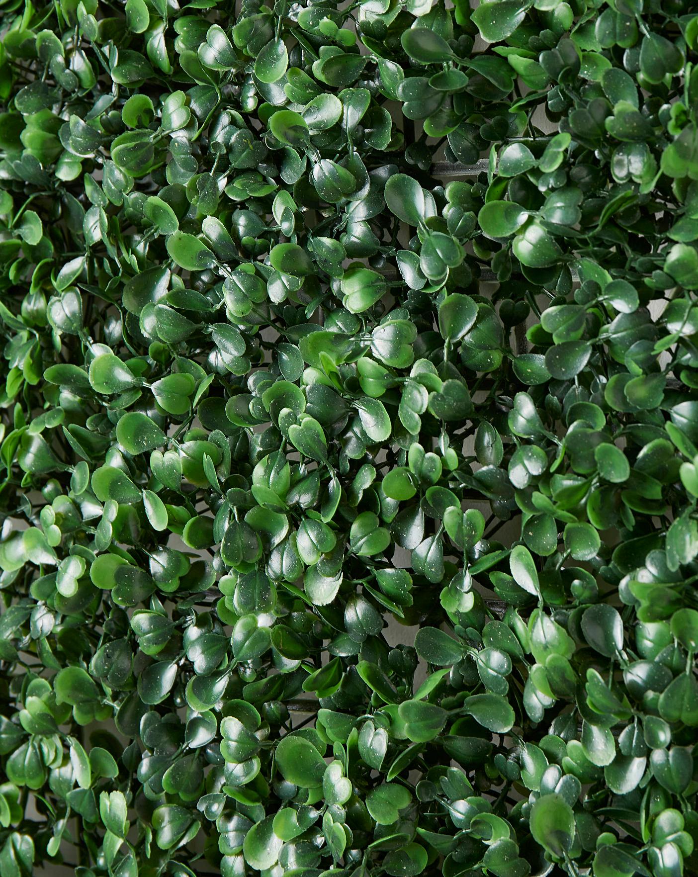 Boxwood Screening Panel 60x40cm Premier Man