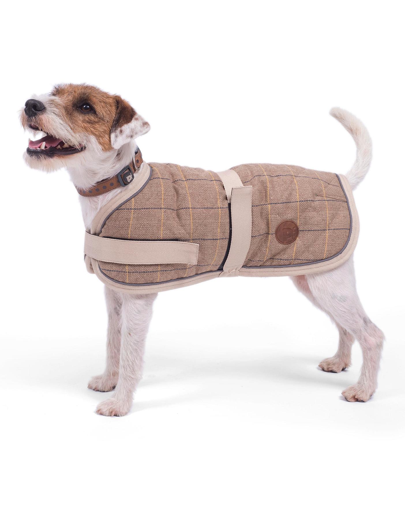 petface dog jumper