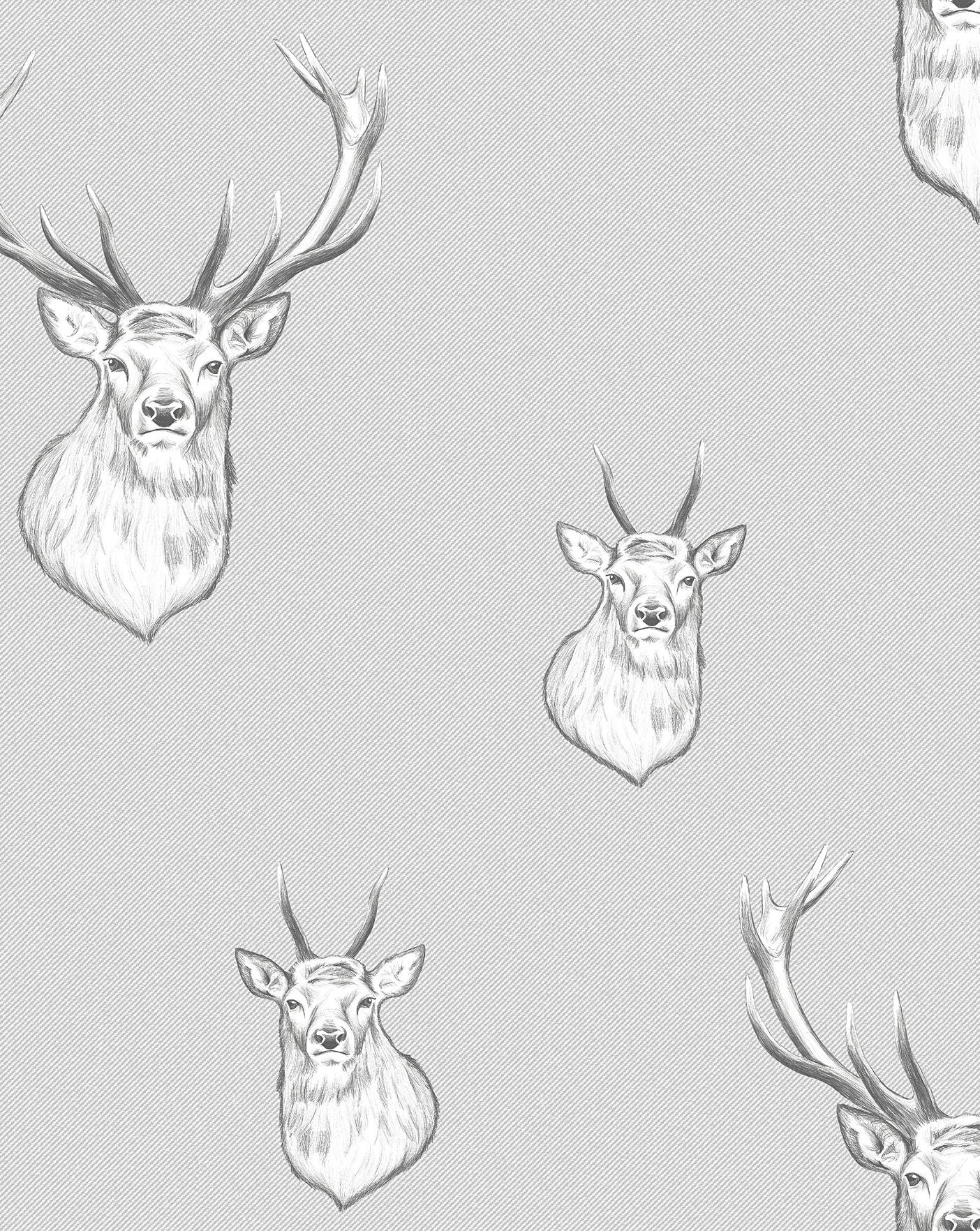 Red Deer Stag and Herd Wall Mural Wallpaper | Canvas Art Rocks – Canvas Art  Rocks US