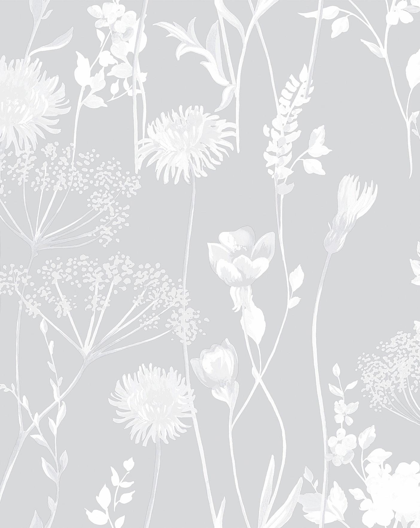 Cole & Son Wallpaper | Cow Parsley 66/7046 | Australia Online – Removable  Wallpaper Australia