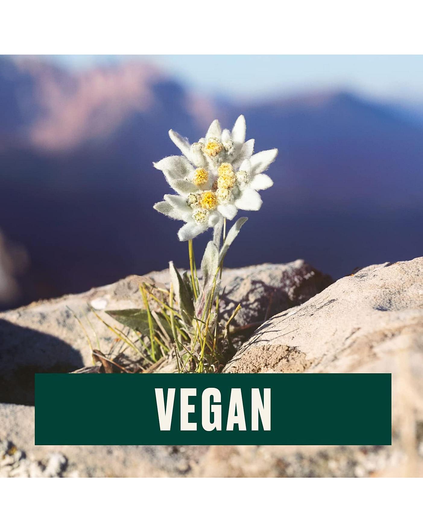 The Body Shop Edelweiss Day Cream J D Williams