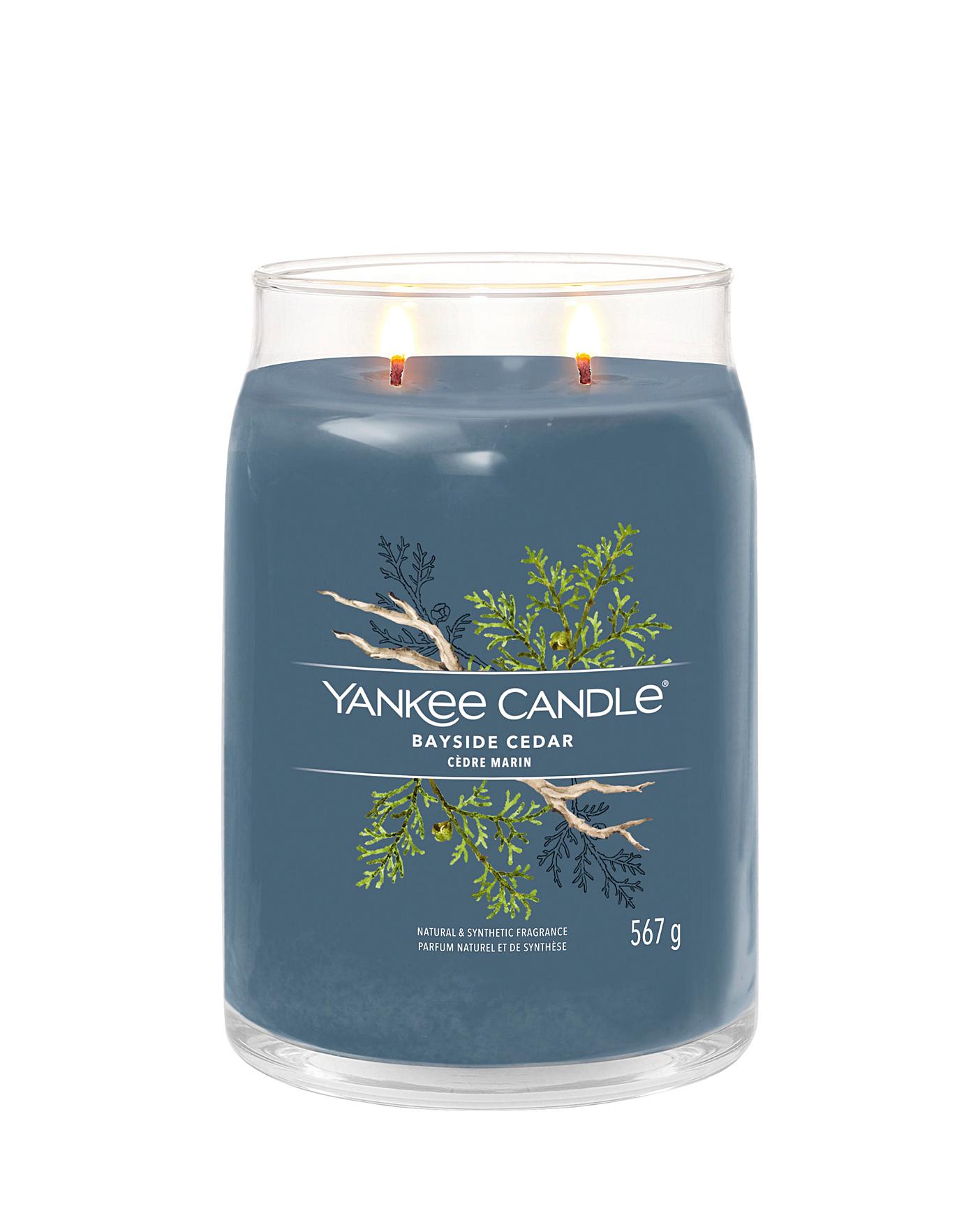 Bayside Cedar Mini Candle by Yankee Candle