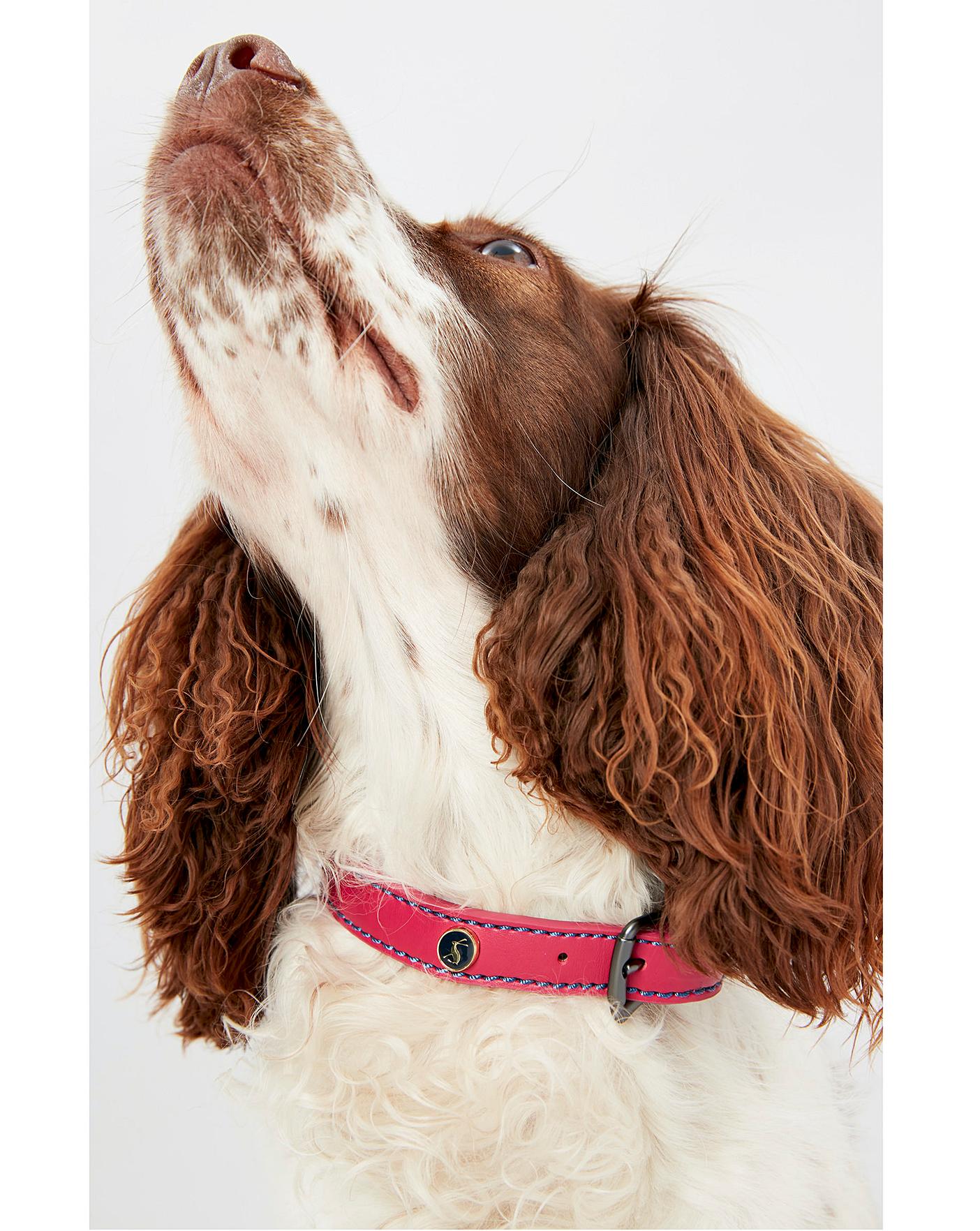 joules springer spaniel slippers