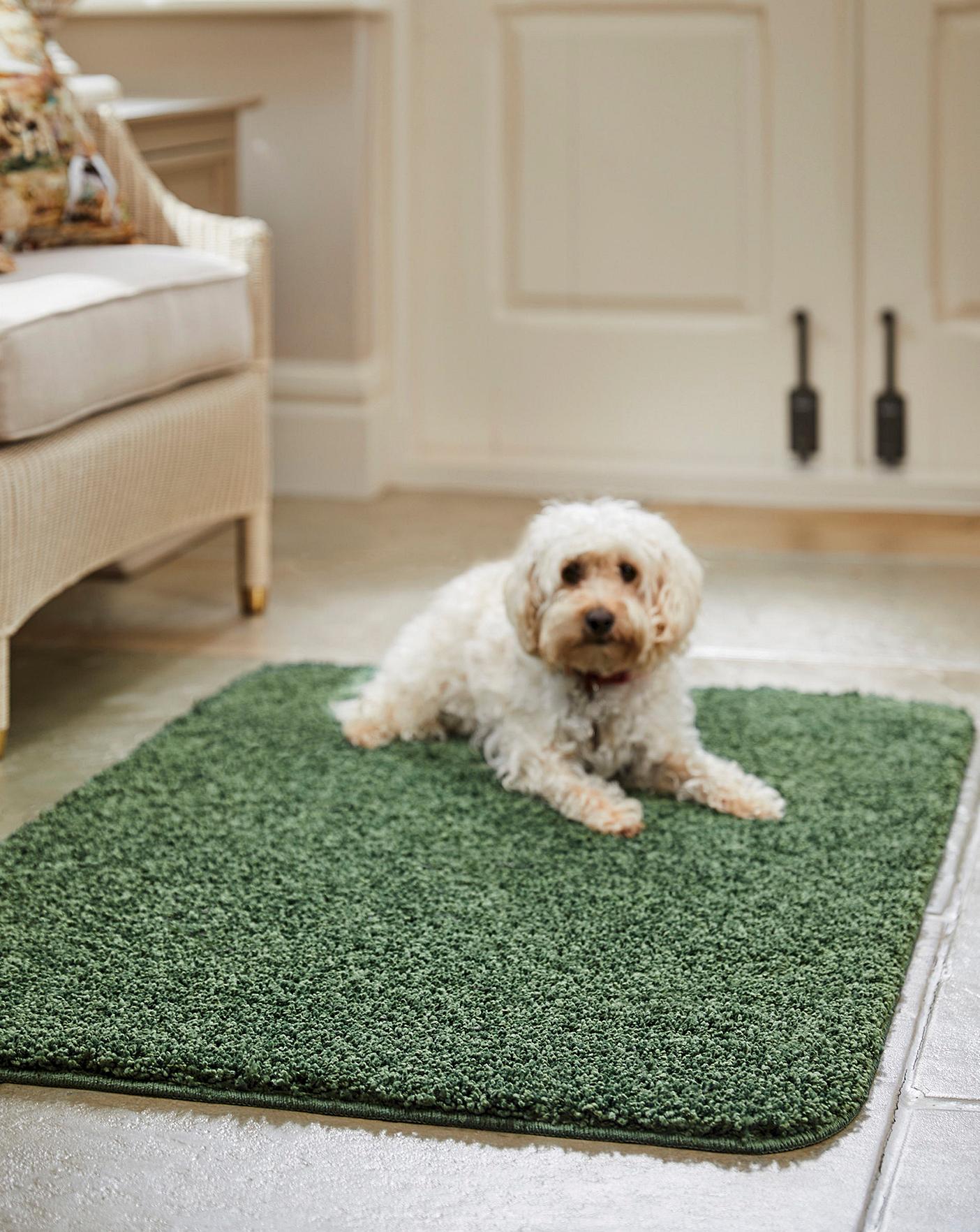 Buddy Washable & Stain Resistant Rug J D Williams
